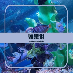 如果说