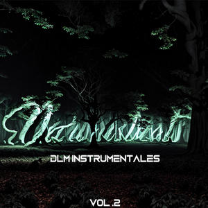 DLM INSTRUMENTALES HIP HOP VOL 2