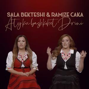 Aty ku bashkohet Drini (feat. Ramize Caka & Sala Bekteshi)