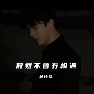 陆佳期 - 假如不曾有相遇 (粤语版伴奏)