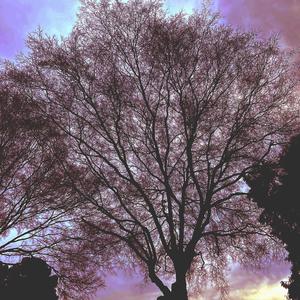 Time & Money (Explicit)