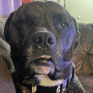 Chill Step House in Em