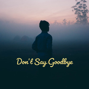 Don't Say Goodbye