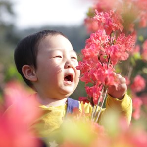 花开新时代