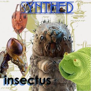 Insectus