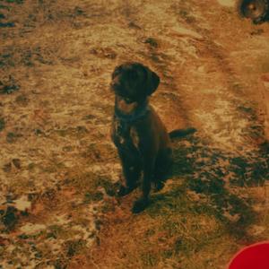 brendan fraser's the mummy (Explicit)