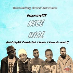 Nice nice (feat. Bokotsiiey012, Tumza de vocalist, Ndoda fish & Banele)