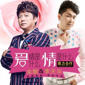 爱情是什么爱情是什么 (Remix)