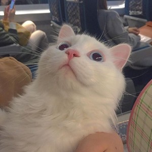 我唱情歌给你听 (大合唱串烧)