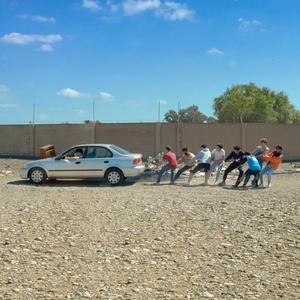 HERD(feat. Tommy Burton, soyybean, Mike Z, PSL Gold, orangeben, Zac Sanders, Monk Diligence, Shaan Silver & 27snails)