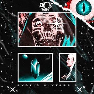 Exotic Mixtape Vol.5