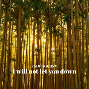 I will not let you down