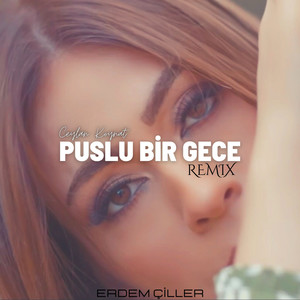 Ceylan Koynat - Puslu Bir Gece (Remix)