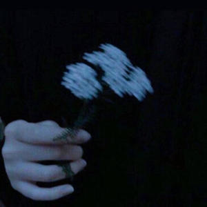 MARIACHI! (feat. SekaiVPN, ZEPHRAPS & BBD Productions) (Explicit)