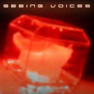 Seeing Voices (feat. Kiera Pixie)