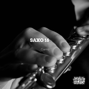 Garro - Saxo 16