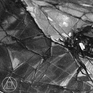 Bay Leaf Conversations