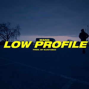 Low Profile (Explicit)