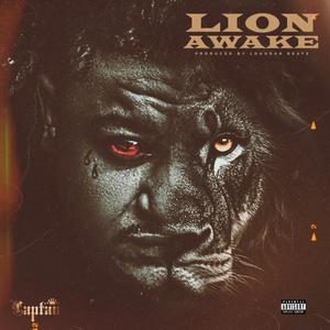 Lion Awake