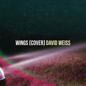 Wings (COVER版)