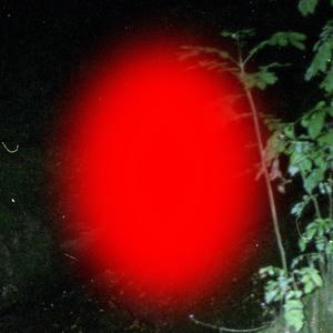 The Phœnix (feat. Corentin Pujol)