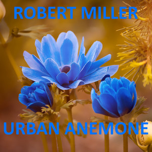 Urban Anemone