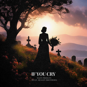 If You Cry