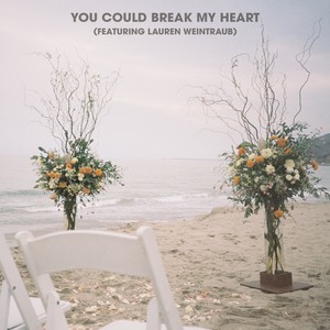 You Could Break My Heart (feat. Lauren Weintraub) (Explicit)