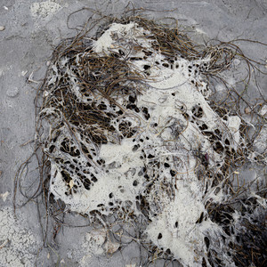 Would You Like a Vampire (feat. Bridget St. John)