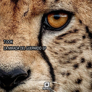 La Mirada Del Guepardo