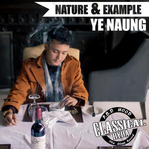 Nature & Example (Explicit)