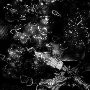Brain Damage (Explicit)