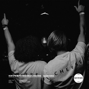 ICEVY - Высоко