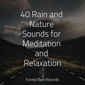 40 Rain and Nature Sounds for Meditation and Relaxation