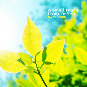 눈앞에 보이는 작은 나무 (A small tree in front of you)