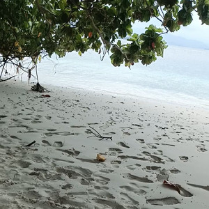 Akupun masih sendiri