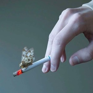 你还怕大雨吗