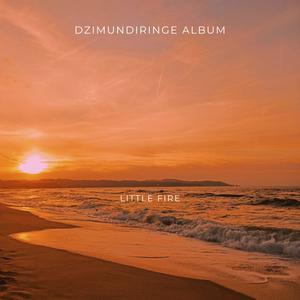 DZIMUNDIRINGE ALBUM