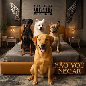 Não vou Negar (Explicit)