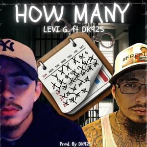 How Many (feat. Levi G)