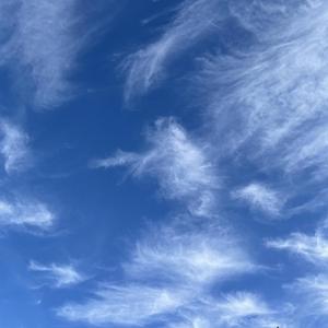 Right or Wrong(feat. leesta & Jackie Platinum) (Explicit)