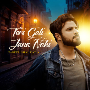 Teri Gali Jana Nahi