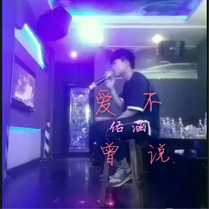 爱不曾说
