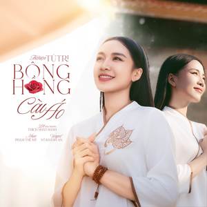 Bông Hồng Cài Áo