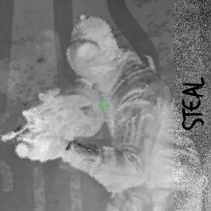 Steal (Explicit)