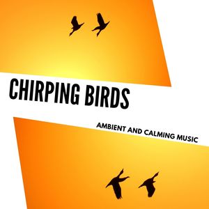 Chirping Birds - Ambient And Calming Music