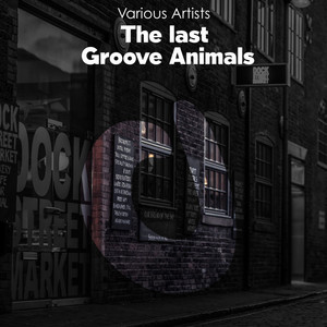 The last Groove Animals (Explicit)