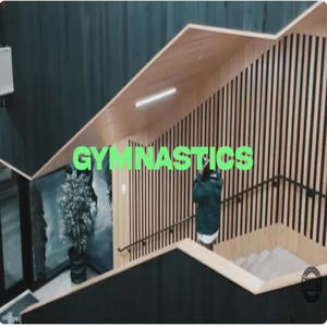 GYMNASTICS (Explicit)