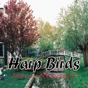 Harp Birds