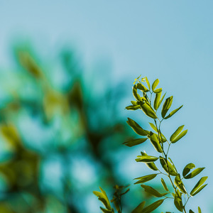 这首歌你在听吗